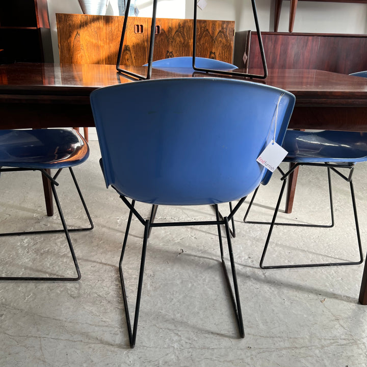 Bertoia Fiberglass Shell Chair